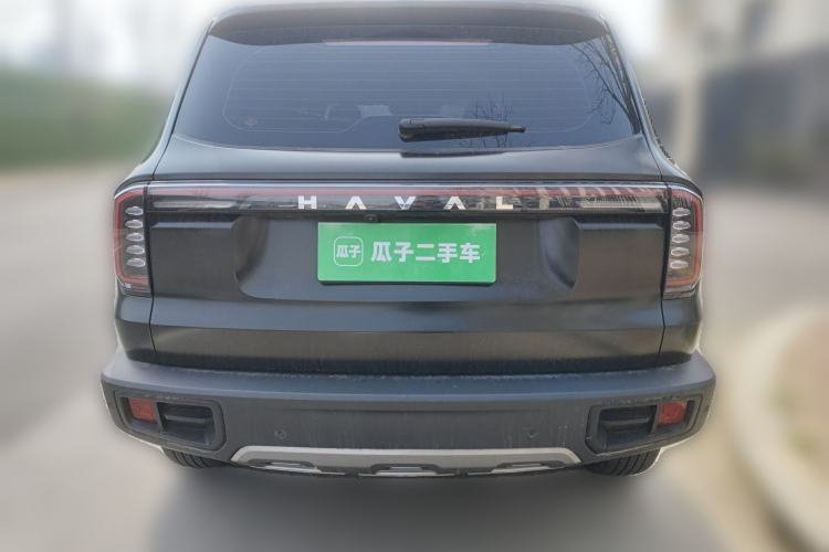 Used Haval DARGO 2024 2.0T DCT Chinese Rural Dog Edition