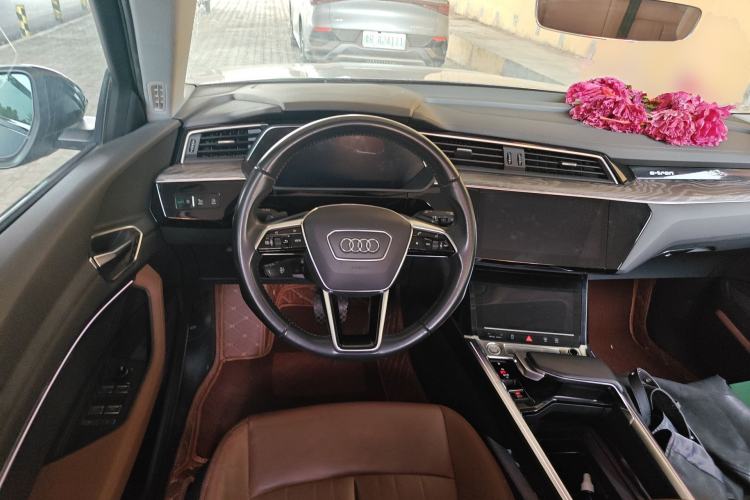 Used Audi e-tron 2019 55 quattro Technology Edition
