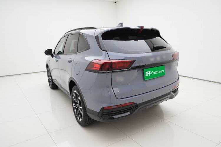 Used Wey Latte DHT 2022 1.5T DHT Extra-Large Cup
