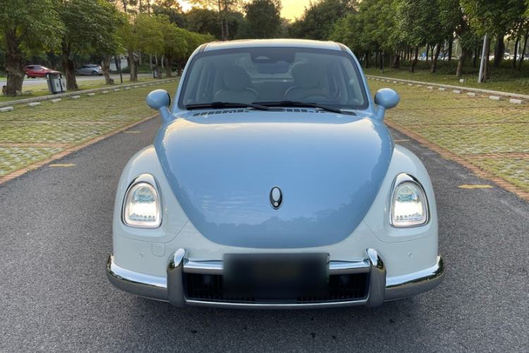 Used ORA Ballet Cat 2023 401 km Luxury Version
