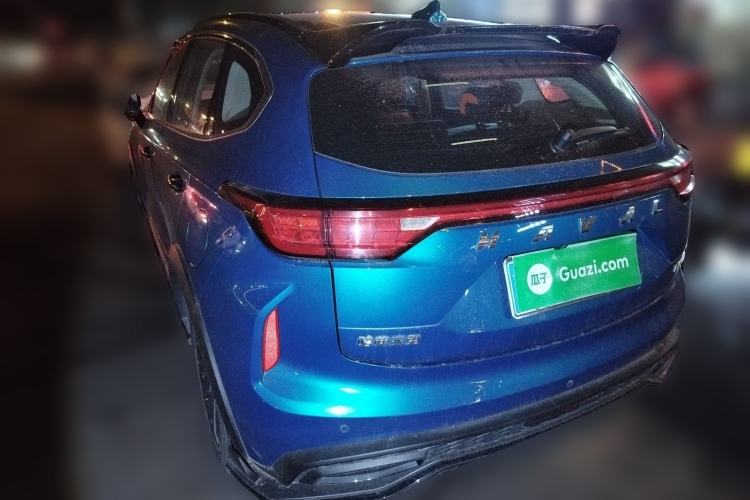 Used Haval LHERY 2021 High-Performance Version 1.5T Golden Rabbit