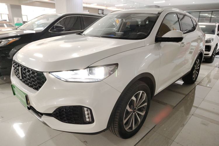 Used Wey VV6 2019 2.0T Two-Wheel-Drive Ultra-Luxury Version China VI Standard
