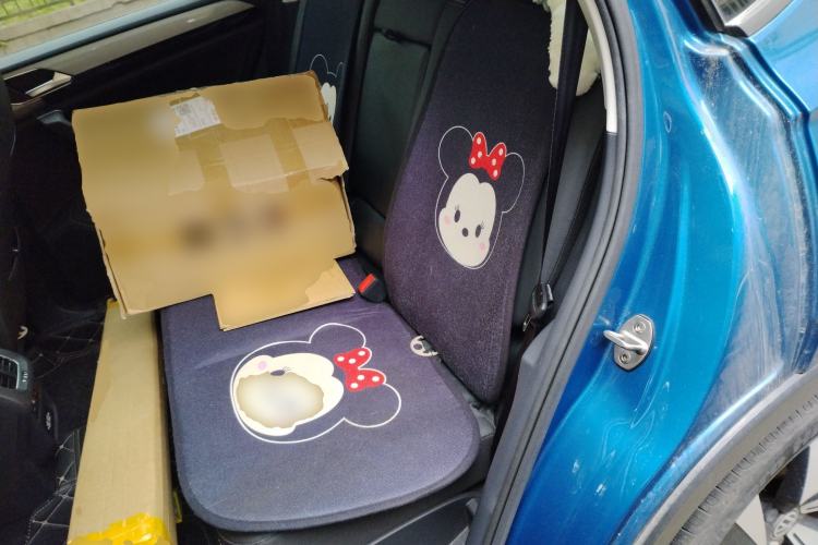 Used Volkswagen Tayron 2019 330TSI Two-Wheel Drive Luxury Model China VI Standard Left Rear Seat