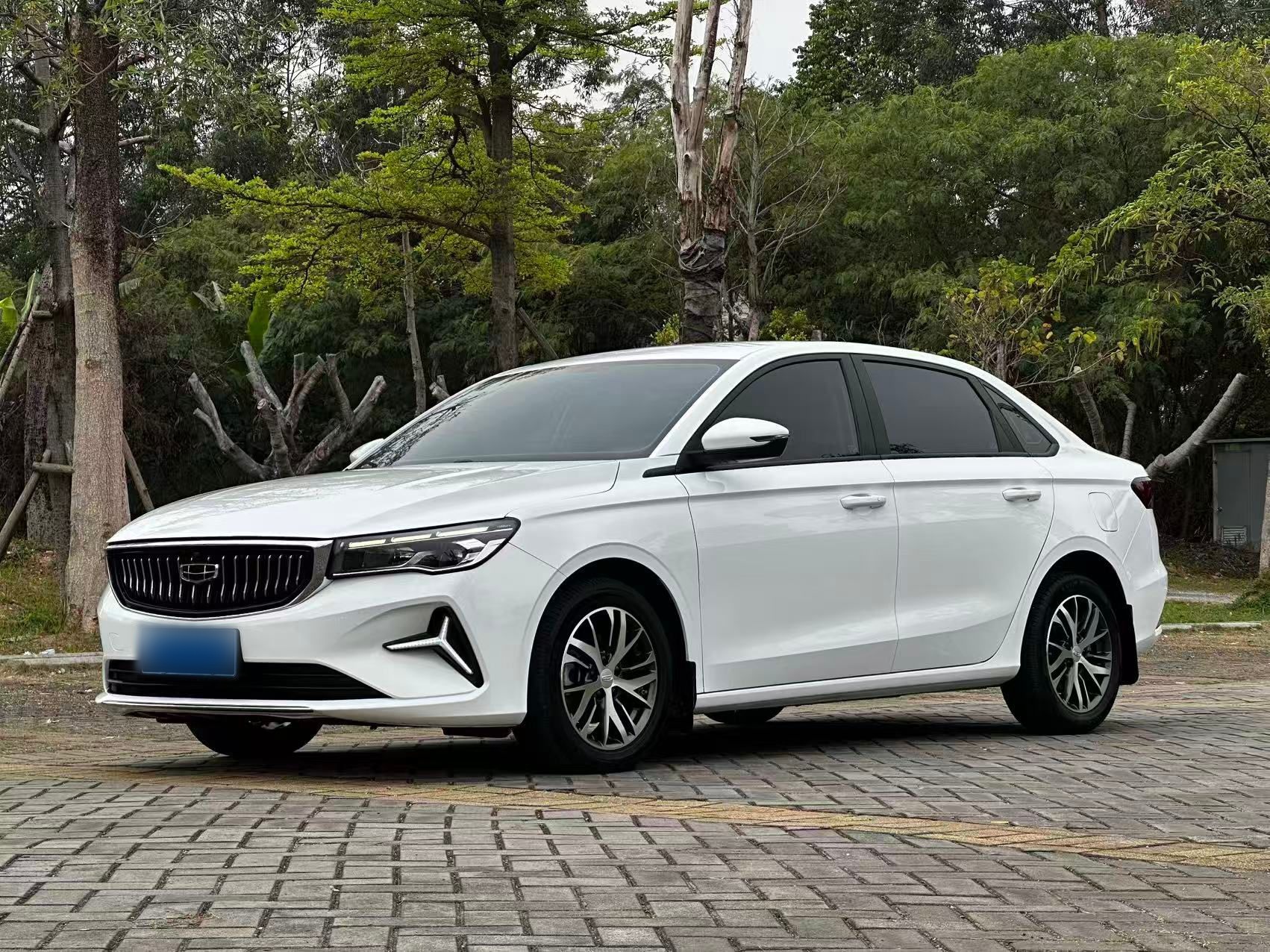 Parte inferior delantera