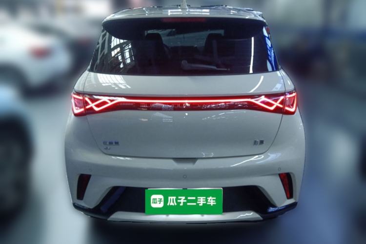 Used BYD Dolphin 2025 420km Free Edition Rear