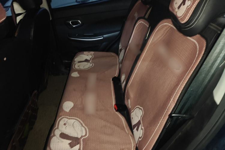 Used Dayun Yuehu 2022 30.66 kWh Two-Wheel Drive Standard Version