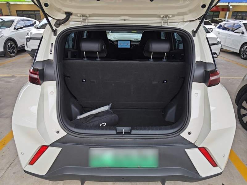 Used BYD Seagull 2025 305km Active Version — 18