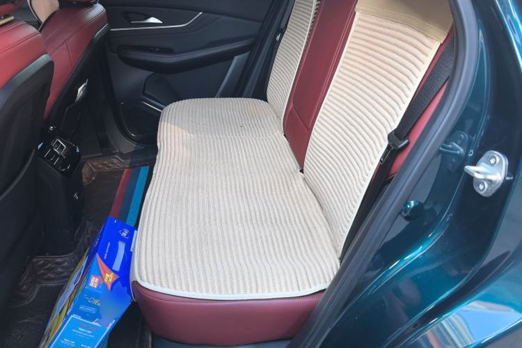 Used FORTHING T5 EVO 2021 1.5TD DCT Starry Edition Left Rear Seat