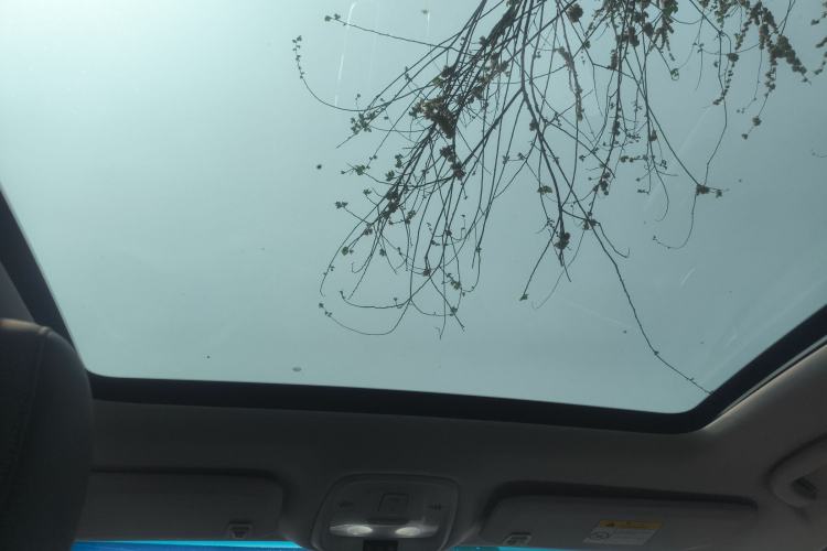 Used Buick Velite 6  Headliner