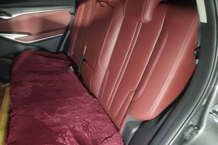 Used CHANGAN CS75 PLUS 2021 2.0T Automatic Pilot Version Left Rear Seat