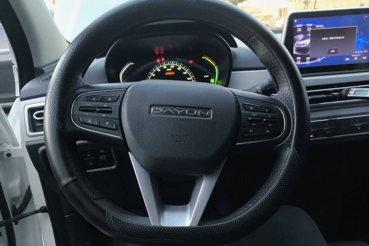 Used Dayun Yuehu 2022 30.66 kWh Two-Wheel Drive Standard Version
