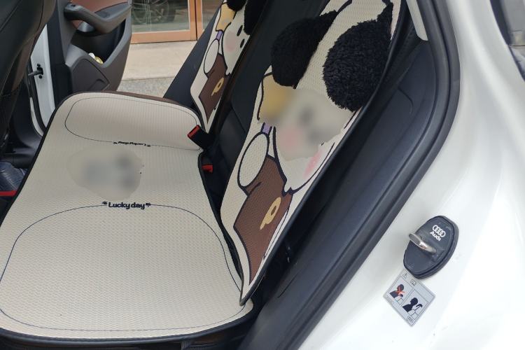 Used Audi Q5 2018 Collector's Edition 40 TFSI Technology Model Left Rear Seat