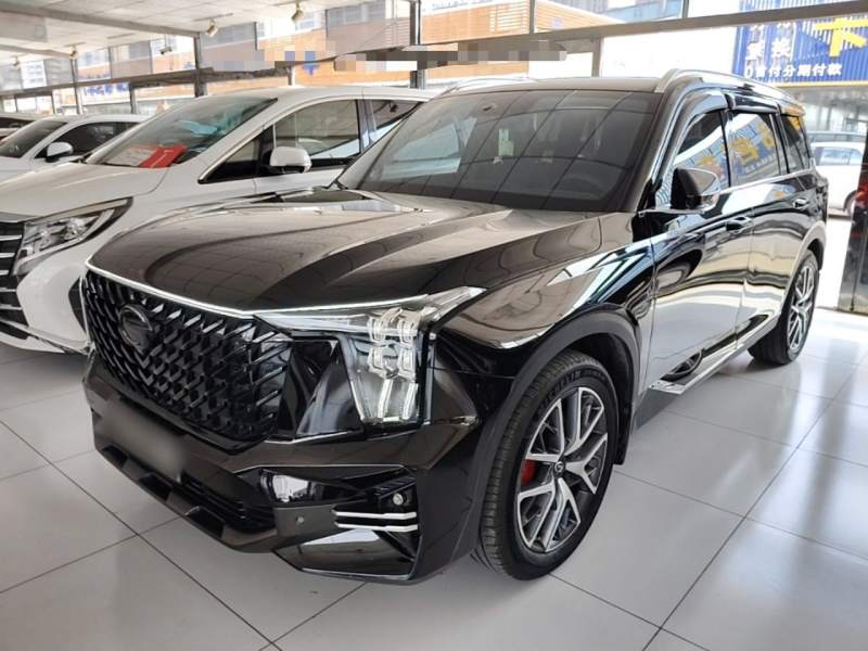 Used GAC Trumpchi GS8 2022 Linghang Series 2.0 TGDI Two-Wheel-Drive Luxury Smart Connectivity Version (7 Seats) — 1