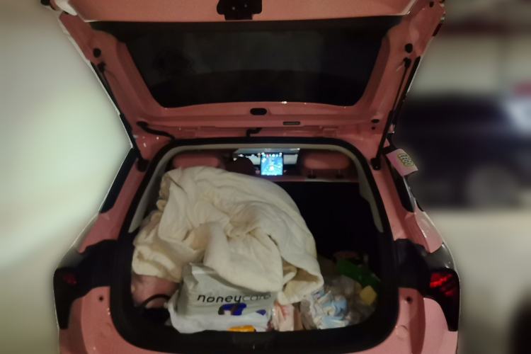 Used NETA V 2022 Chao 400 Lite Pink Custom Edition
