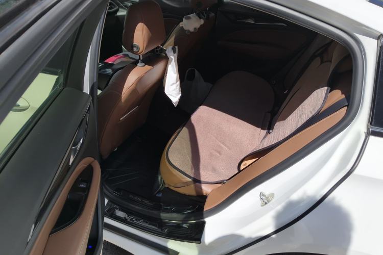 Used Buick Regal 2019 20T Elite Version China VI Standard
