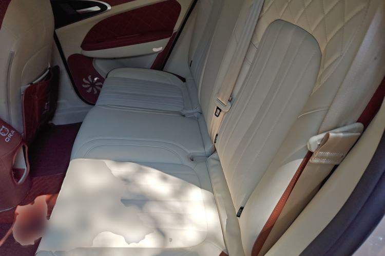 Used ORA Good Cat 2023 401 km Standard Range Premium Trim Ternary Lithium Left Rear Seat