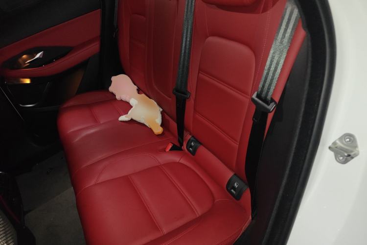 Used Jaguar E-PACE 2024 YAO Black Sport Edition R-DYNAMIC SE BLACK Left Rear Seat