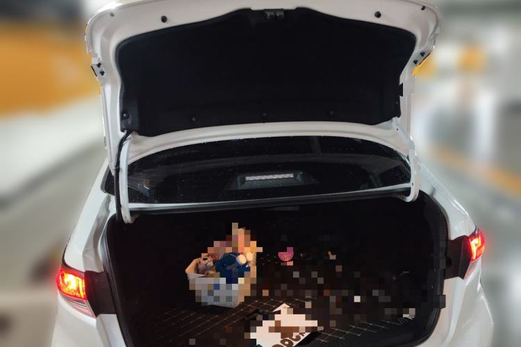 Used Toyota Levin 2021 185T CVT Sport Edition