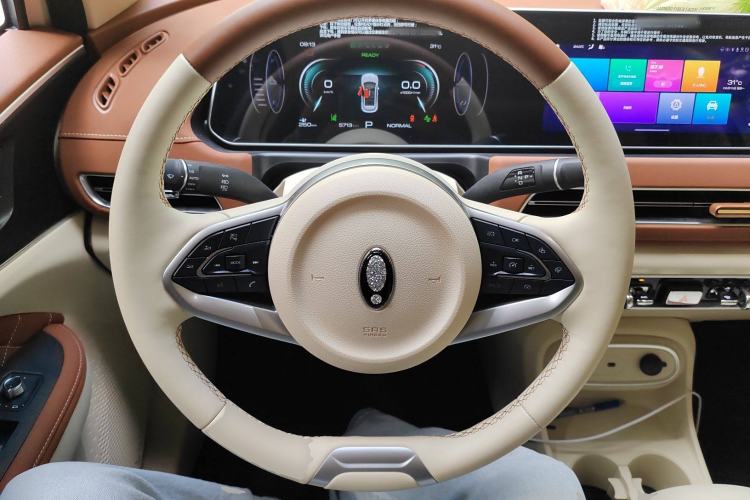 Used ORA Good Cat 2023 401 km Standard Range Prestige Version Lithium Iron Phosphate Steering Wheel