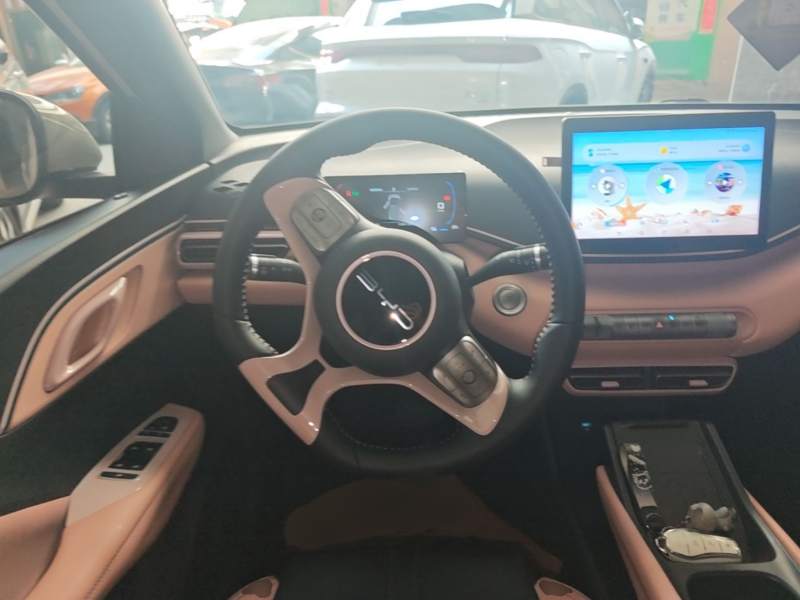 Used BYD Seagull 2024 Honor Edition 305km Freedom Version — 10