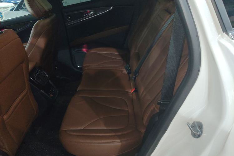 Used Lincoln Nautilus 2021 2.0T Four-Wheel Drive Luxury Edition Left Rear Seat