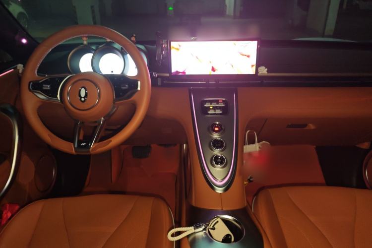 Used ORA Lightning Cat 2022 555 km Luxury Edition