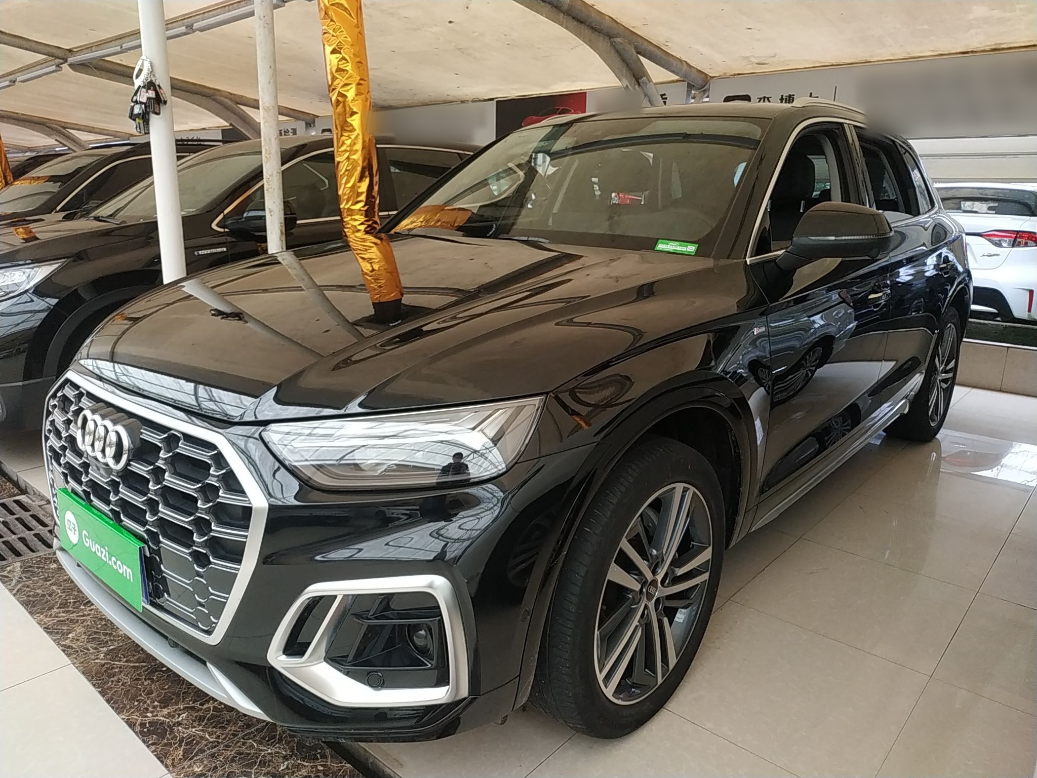 Parte inferior delantera