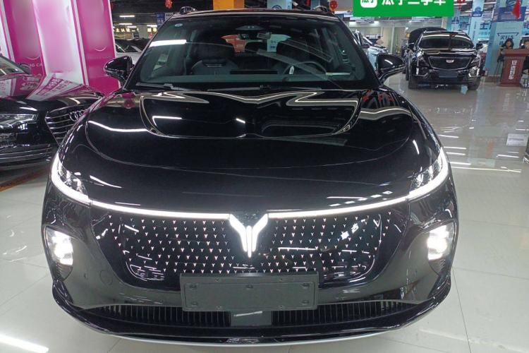 Used VOYAH COURAGE 2024 Four-Wheel Drive Global Edition