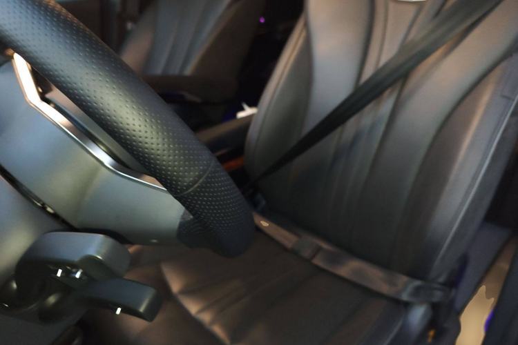 Used Hongqi HQ9 2023 2.0T Smart Connect Flagship Edition
