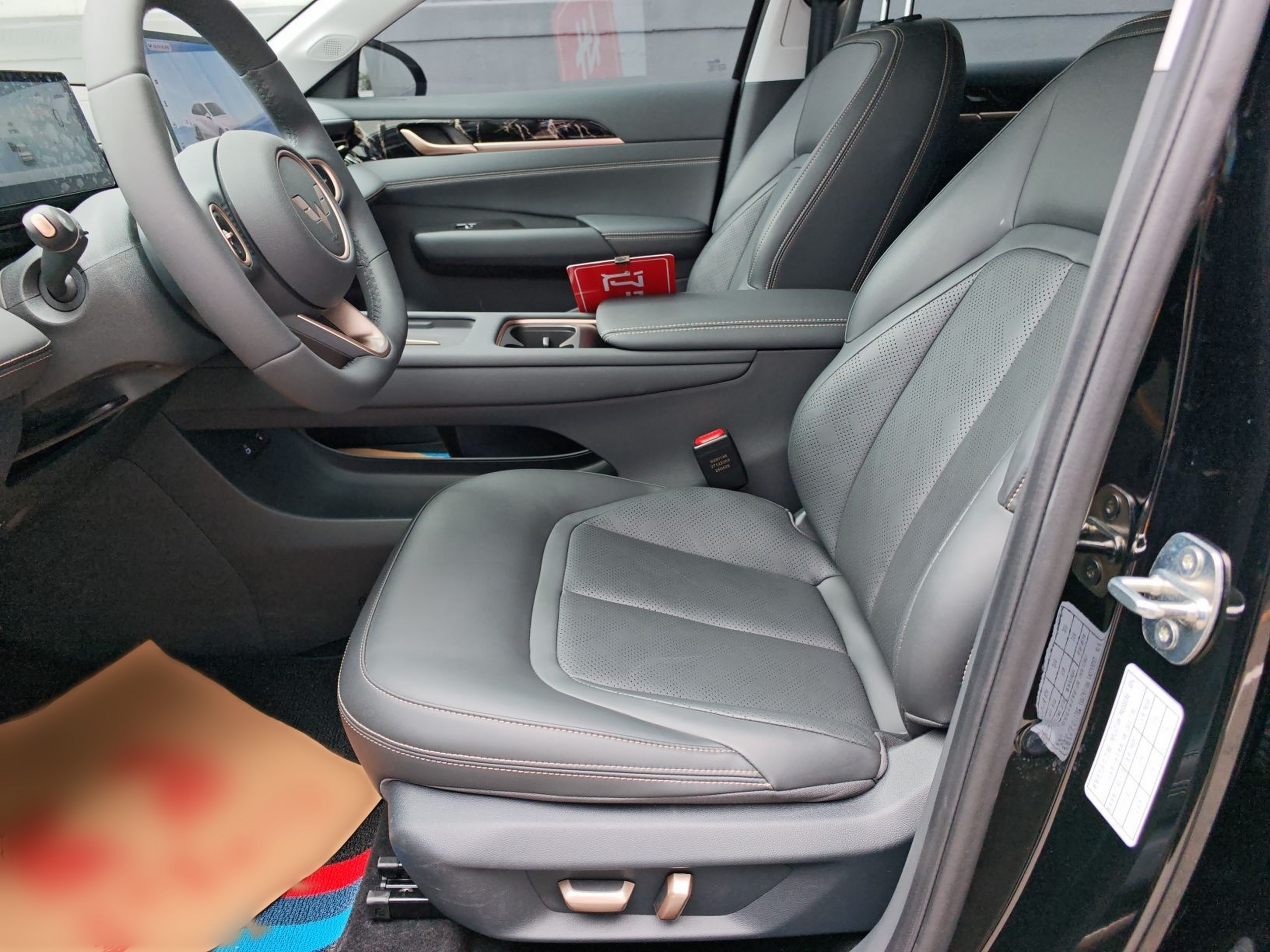 Interior delantero