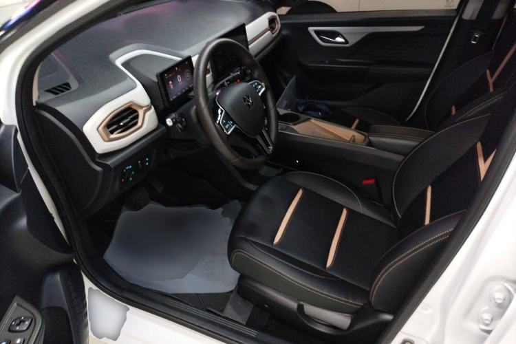 Used SOL E10X 2022 Flower Fairy Design Dandelion