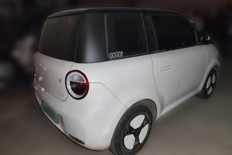 Used Qiyuan Lumin 2023 205km Xiangqin Version
