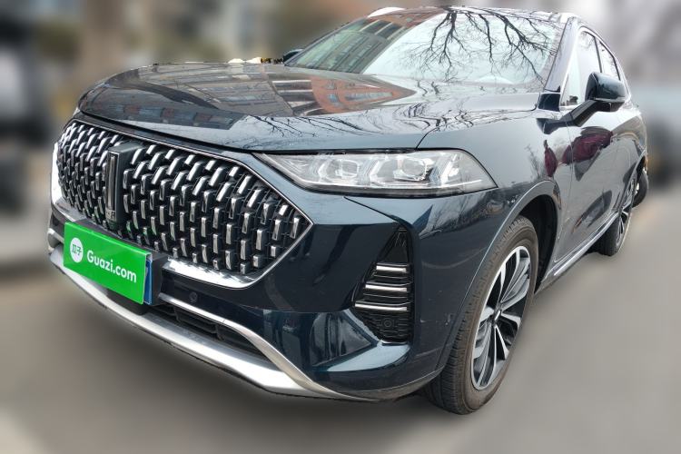 Used Wey Mocha 2021 2.0T Two-Wheel-Drive Premium Edition