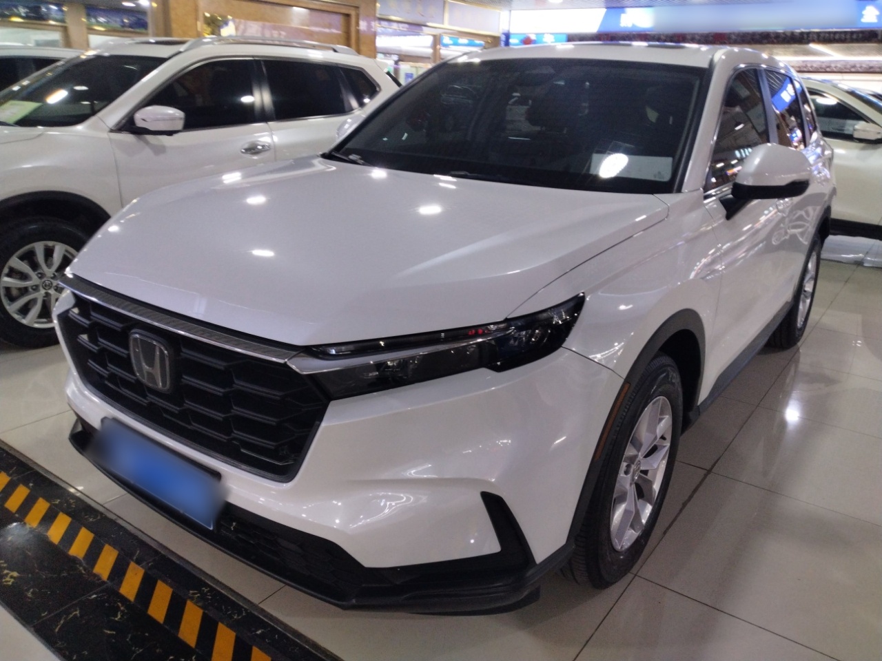 Parte inferior delantera