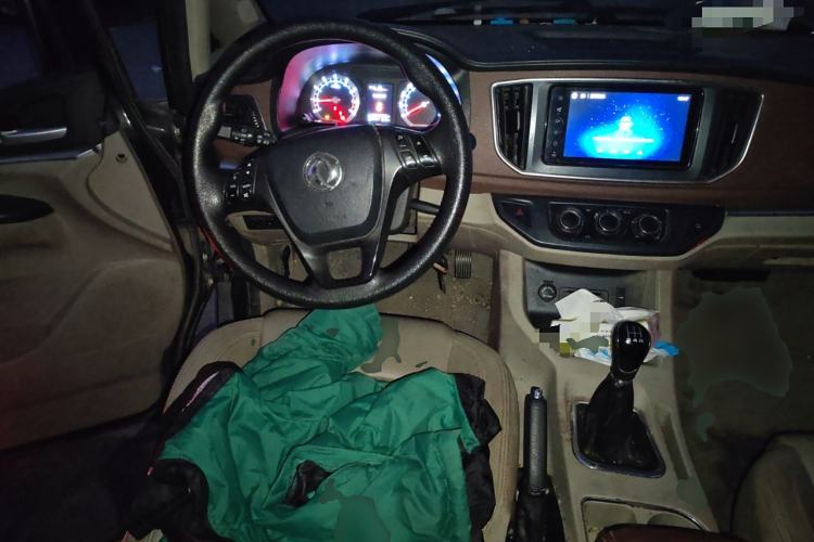 Used FORTHING Lingzhi 2020 M5L 1.6L Luxury 7-Seater