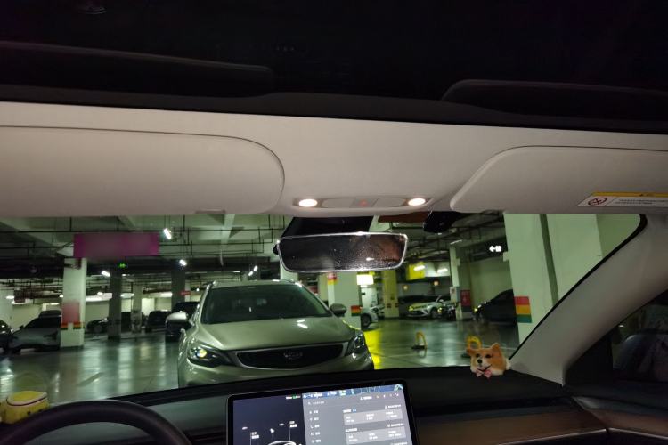 Used Tesla Model 3 2021 Standard Range Rear-Drive Upgraded Version Headliner