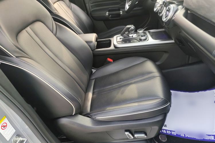 Used Tank 300 2021 City Edition 2.0T—Truly Stylish