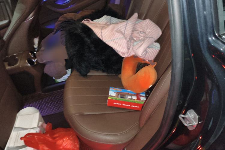 Used Mercedes-Benz E-Class 2017 E 300 L Luxury Model