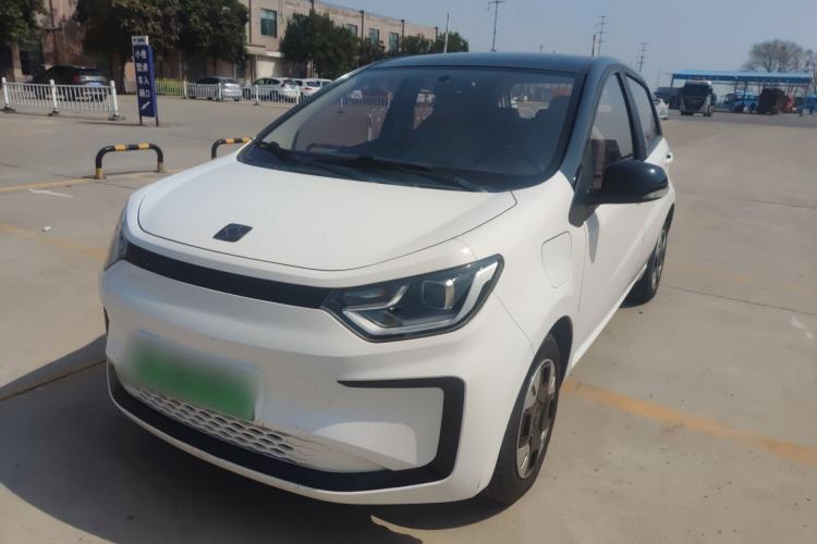 Used SOL E10X 2022 Flower Fairy Design Four-Leaf Clover