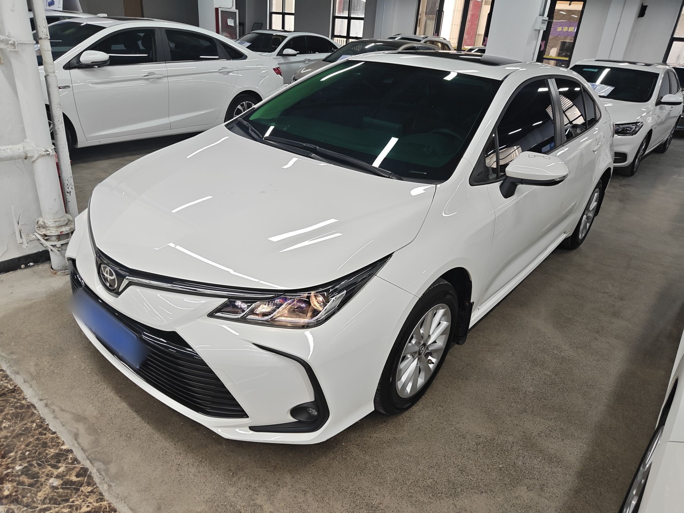 تحت مقدمة السيارة