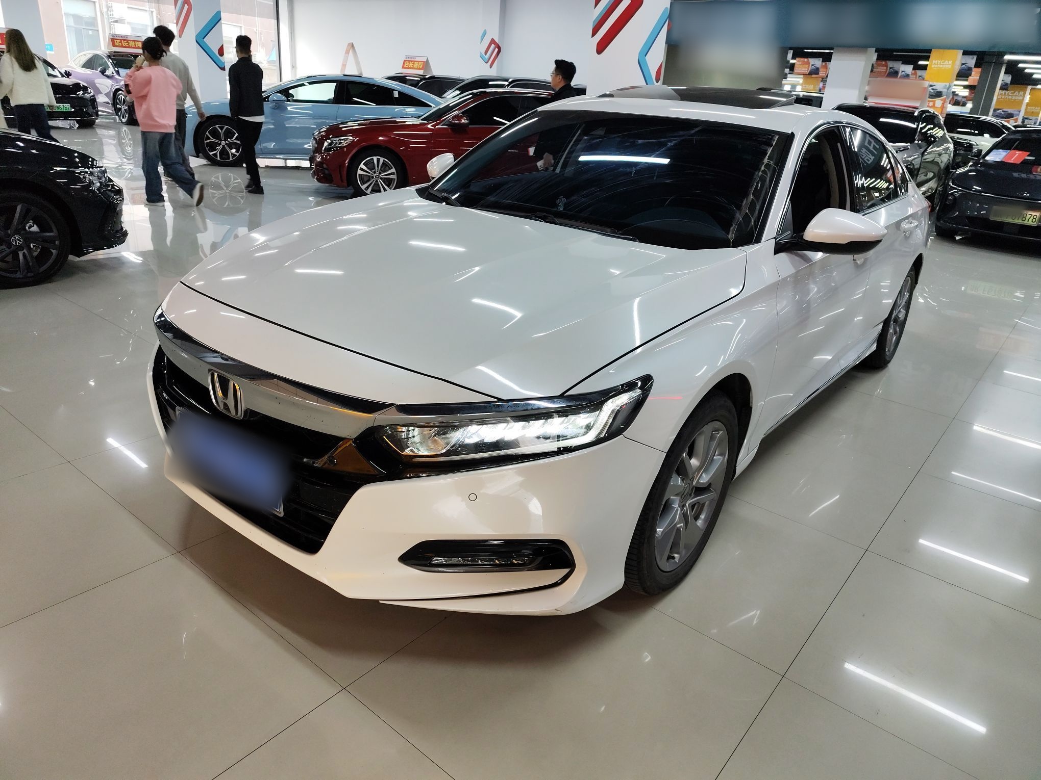 Parte inferior delantera