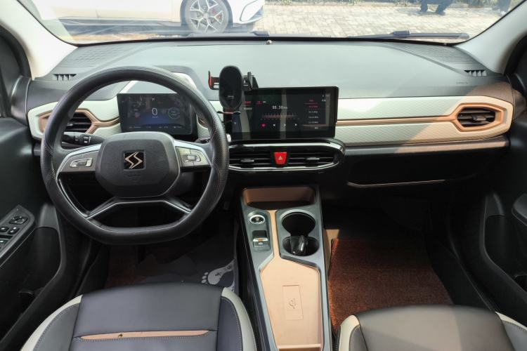 Used SOL E10X 2022 Flower Fairy Design Four-Leaf Clover