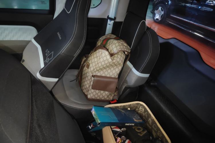 Used Baojun E300 2020 Starry Intelligence Edition Left Rear Seat