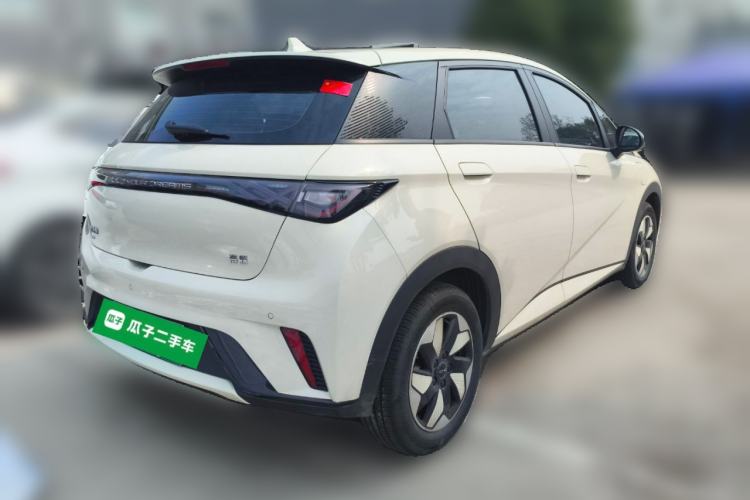 Used BYD Dolphin 2024 Honor Edition 420km Freedom Version
