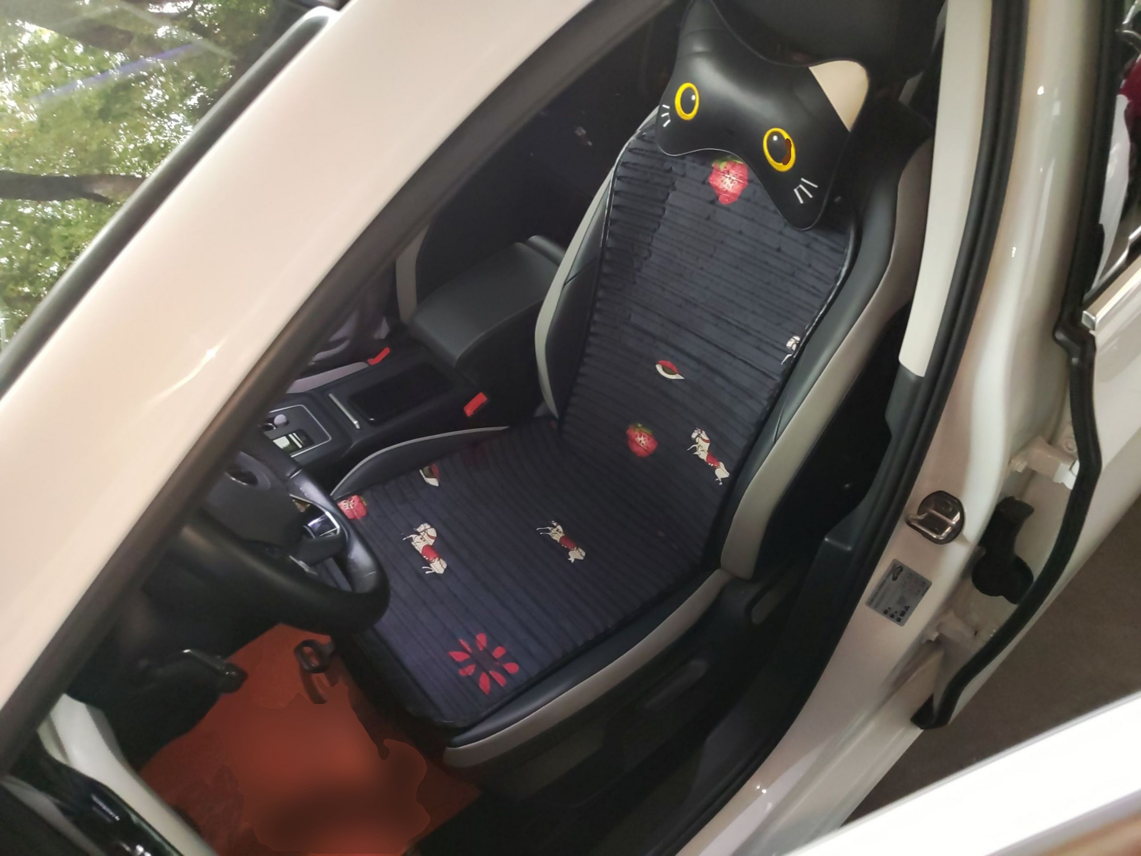 Interior delantero