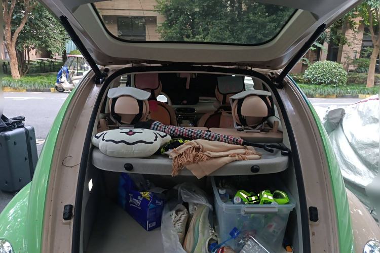 Used ORA Ballet Cat 2023 401 km Luxury Version