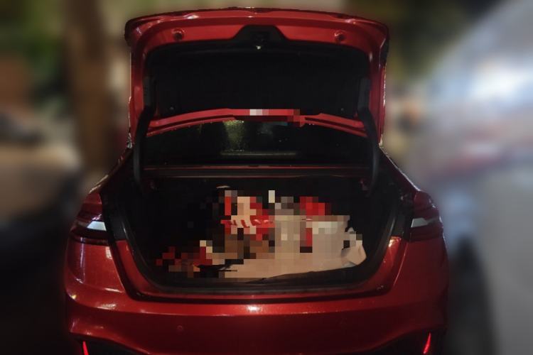 Used Geometry A 2019 High-Value Standard Range Cube Edition
