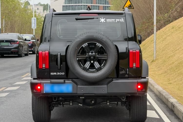 Used Tank 300 2025 2.0T Conqueror
