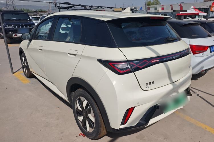 Used BYD Dolphin 2025 420km Free Edition Rear Left 45 Deg