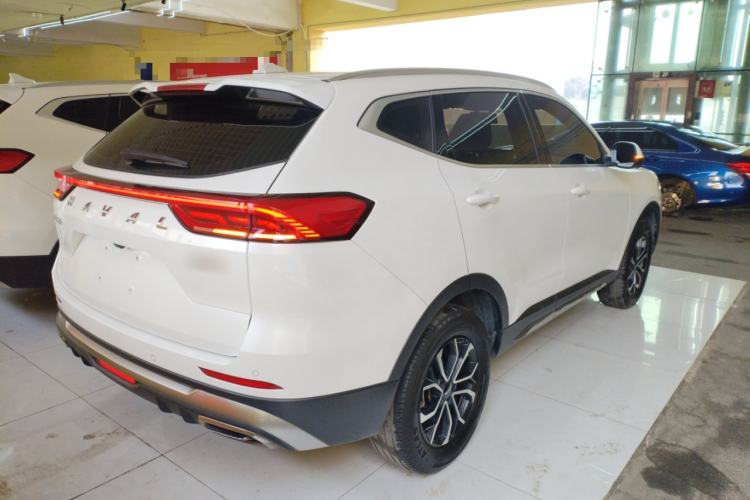Used Haval H6 2023 National Trend Edition 1.5T Automatic Urban Version
